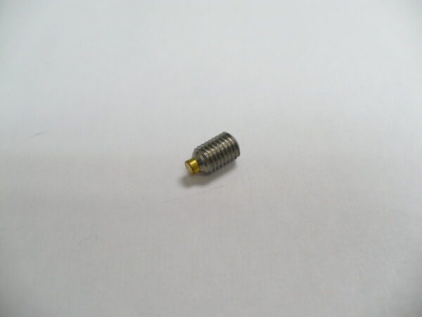 Screw Set Brass Tip SS on a white surface