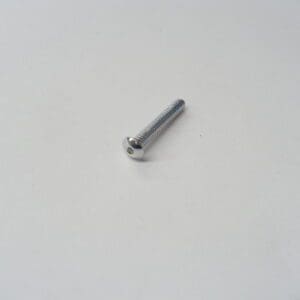 Silver screw on white background