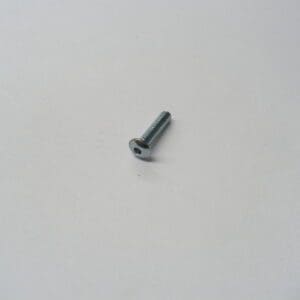 Single hex-socket flat-head screw on white background